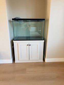 80 Gallon Fish Tank