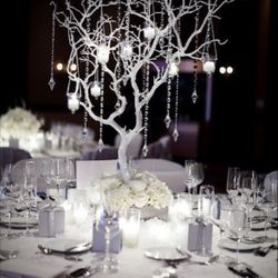 34’ Silver Metallic Manzanita Tree