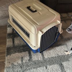 Medium Sized Kennel