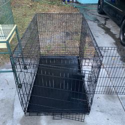 Dog Cage And Bird Cage 