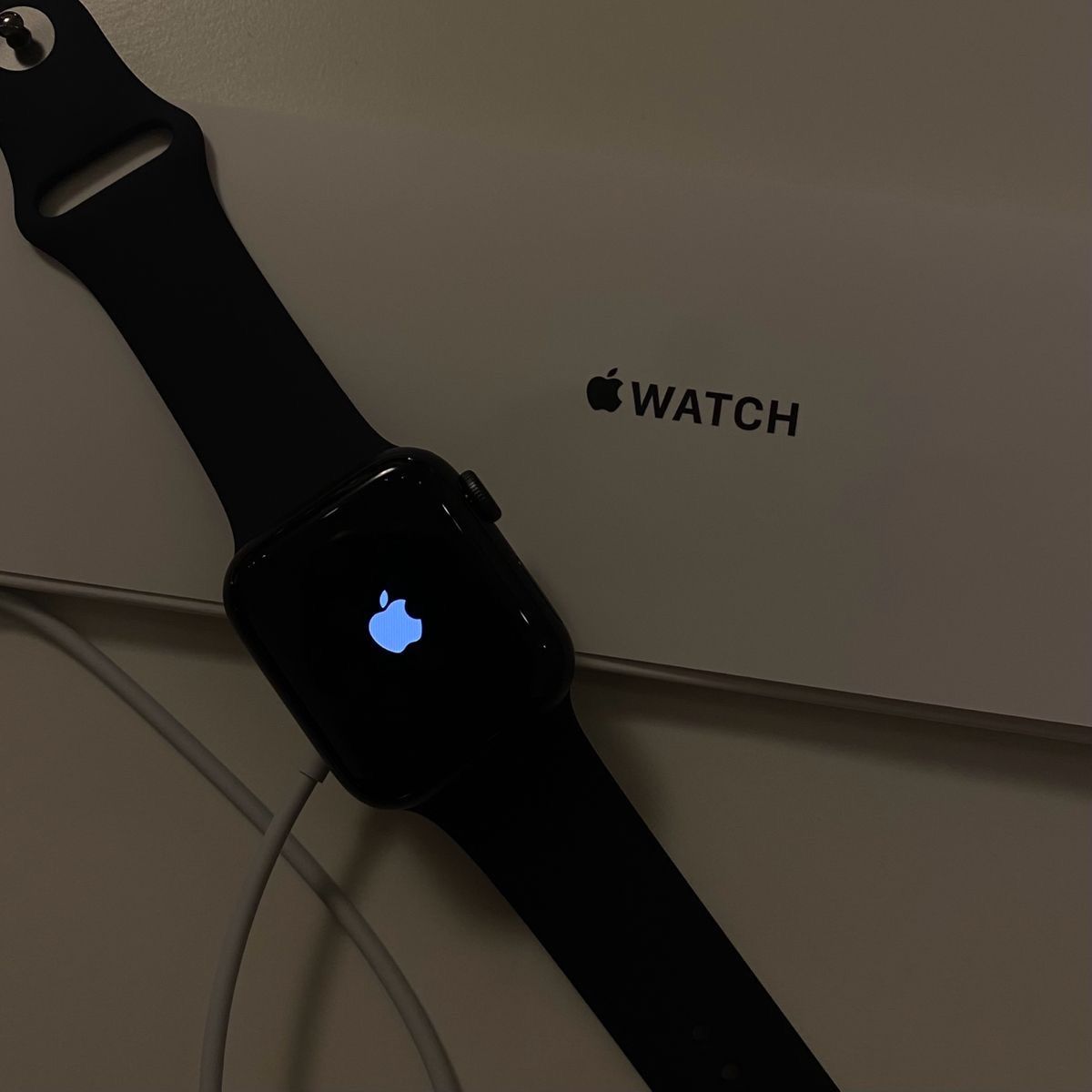 Apple Watch Series 6