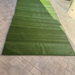 Pet Safe Artificial Turf