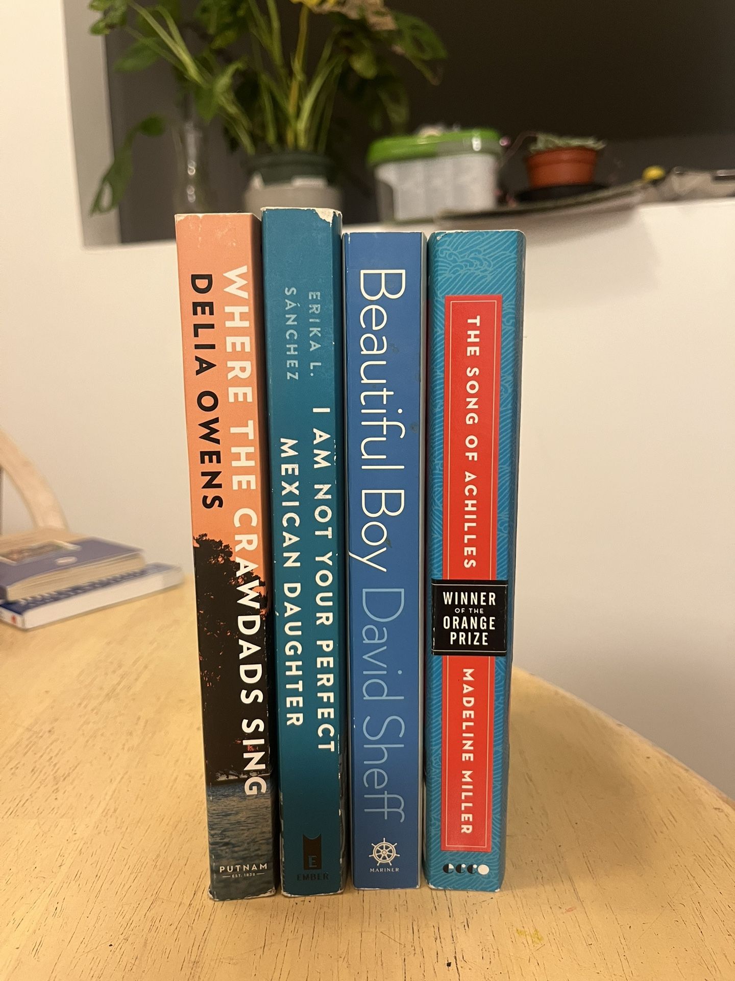 Fiction Novels