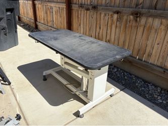Groomer Essentials Hydraulic Grooming Table