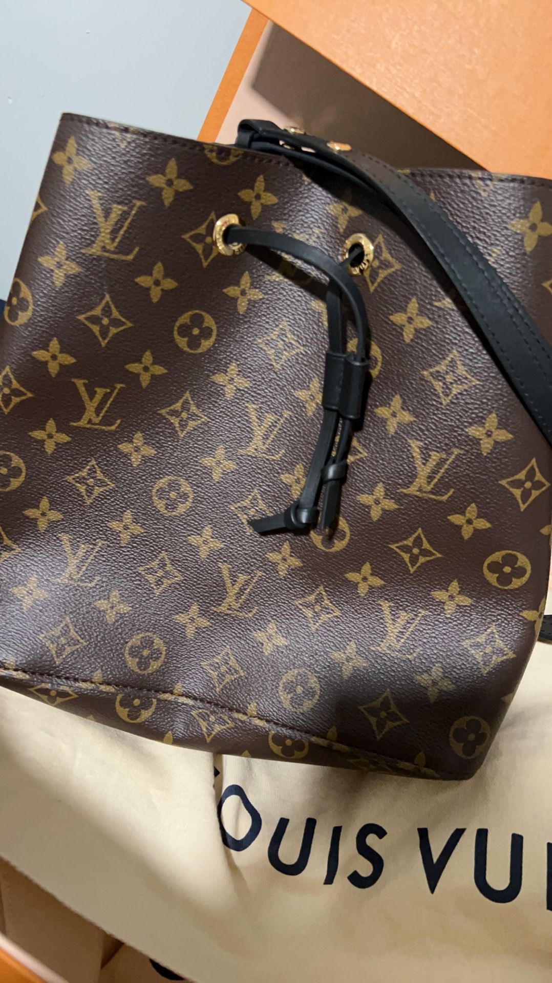 Louis Vuitton Bag
