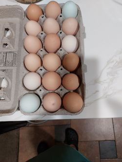 Eggs