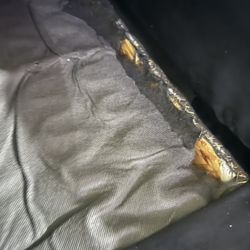 Free Couch 