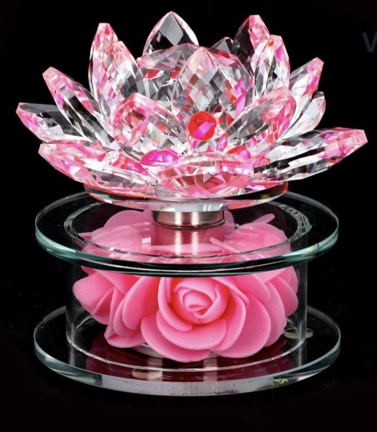 VALENTINES DAY!!! Best Gift for any Occasion! Crystal Flower 🌹 with base of Forever Lasting Roses