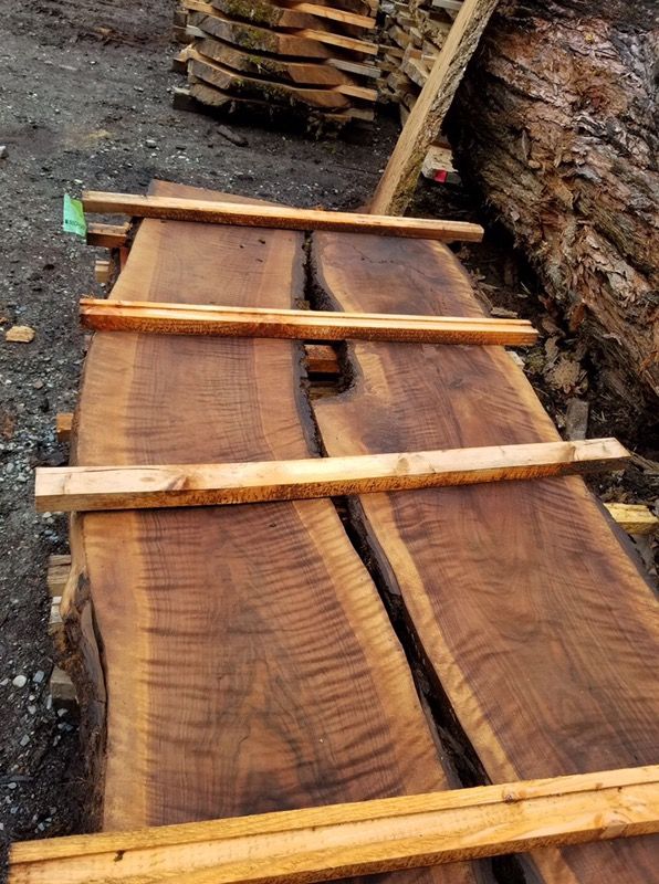 Wood slabs live edge dry