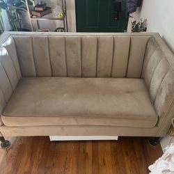 Loveseat Couch (velvet)