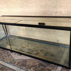50 Gal Fish Tank