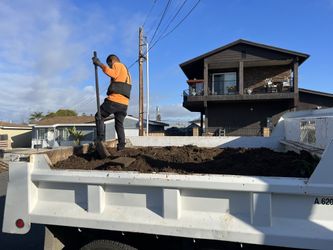 Free Dirt & Free Delivery!!