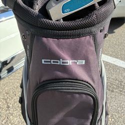 Cobra 🐍 golf set