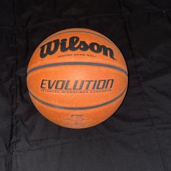 Wilson Indoor Ball