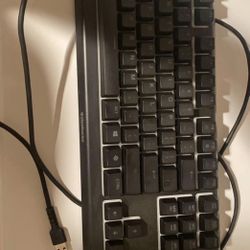 Steelseries Keyboard 