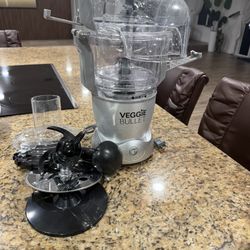 Veggie Bullet