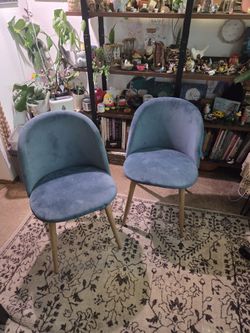 Blue Velvet Chairs