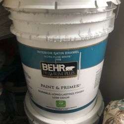 5 Gallon Paint And Primer