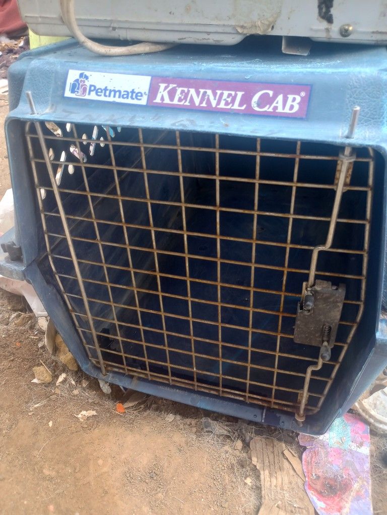 Dog Kennel