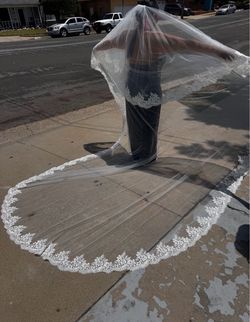 Cathedral wedding veil with lace!