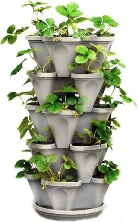 Elevate Your Garden
