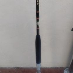 Fishing Pole Penn Senator 6/0 6'6" 40lbs -60 Lbs Line