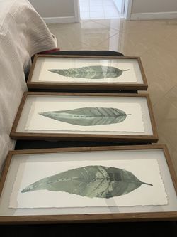 Leaf Pictures 