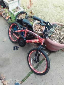 Bicicleta para niño barata $15 Dlls