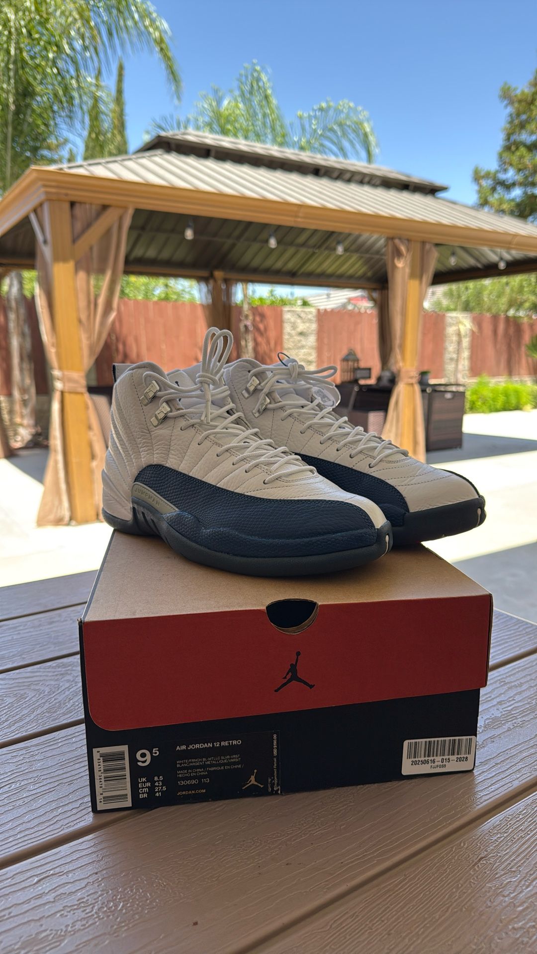 Jordan 12 Retro French Blue (2016)