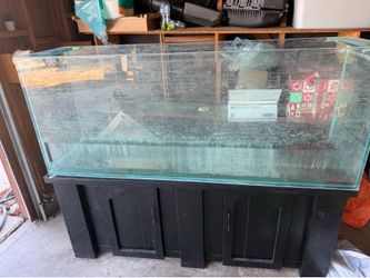 100 gallon tank