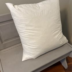 Decorative Pillows 