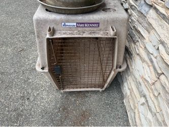 Old dog kennel