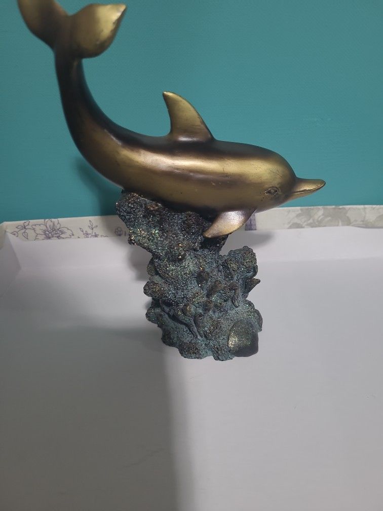 Dolphin On A Rock