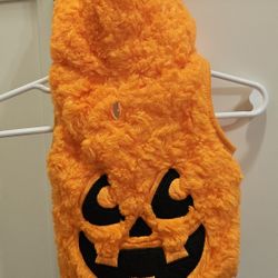 Dog Pumpkin Costume 