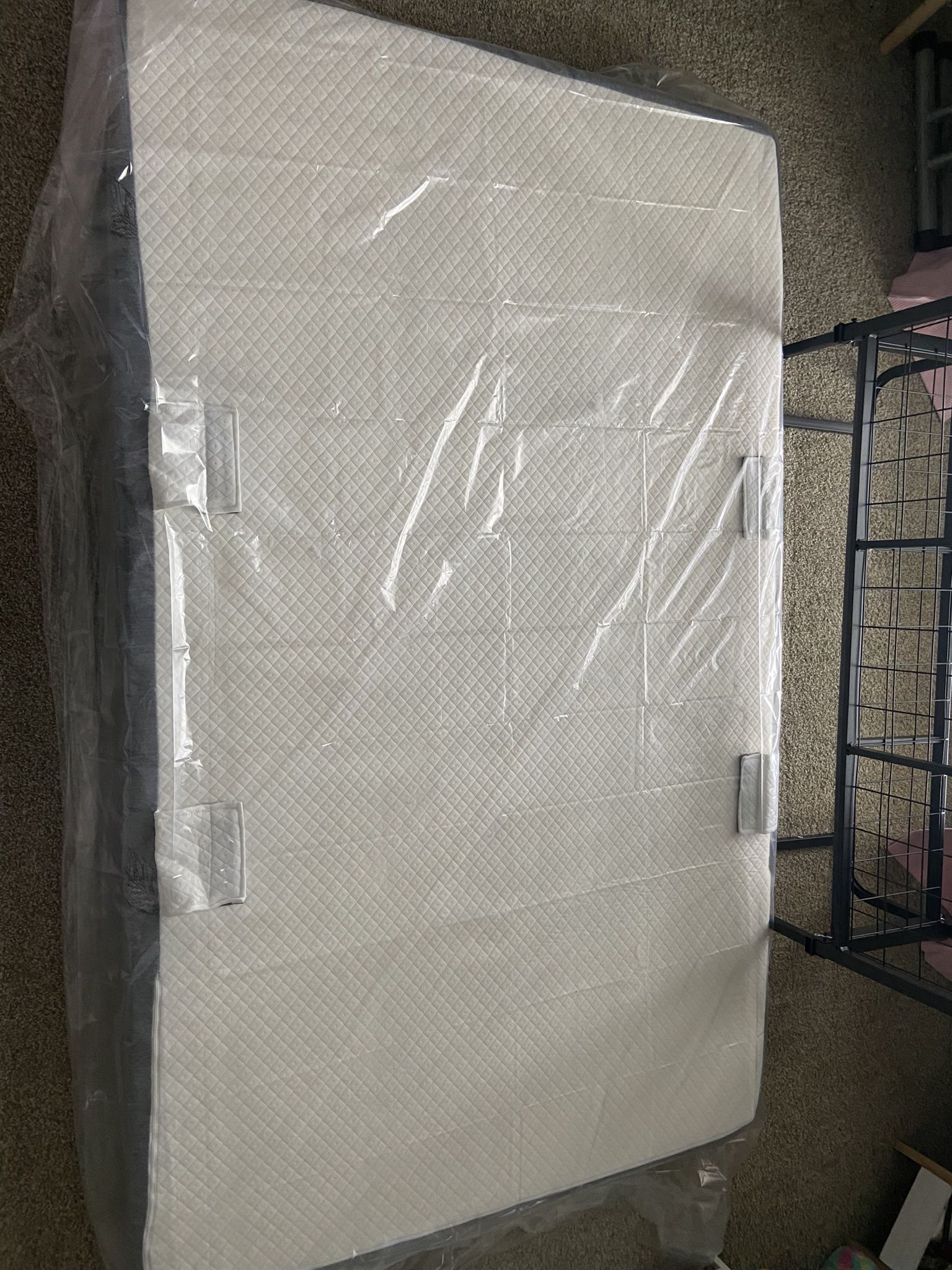 Twin XL Fold Out Bed