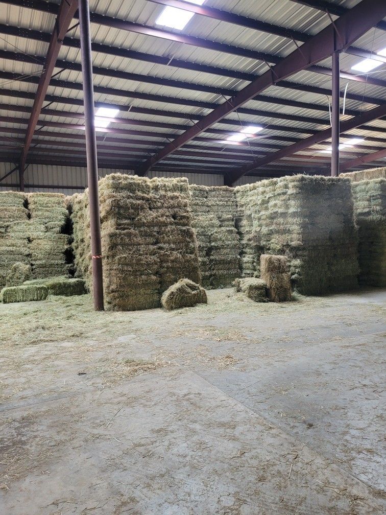 grass hay