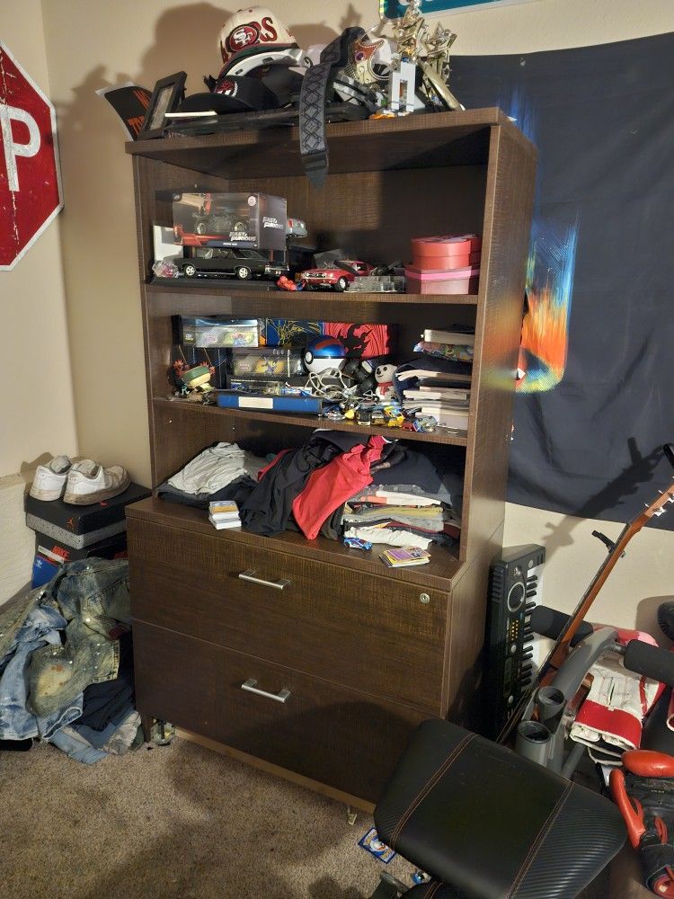 Filing Cabinet And Bookshelf