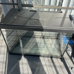 Fish Tank & Accessories