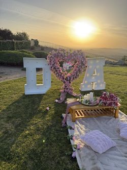 Picnic Proposal