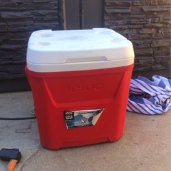 Igloo Cooler 