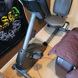 Gold's Gym Exercise Bike