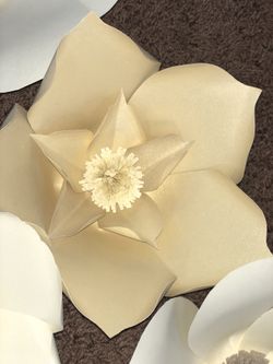 Paper flowers!! Flores de papel!