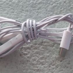 type-c  wired earbuds