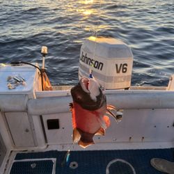 25’ Wellcraft Boat 