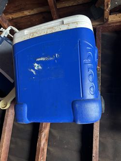 Cooler