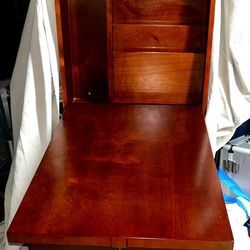 Fold Out Convertible  Wall Mounted Desk