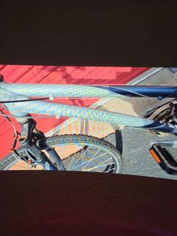 Trek bike