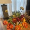 Sarah’s $5 Shop - ALL $5