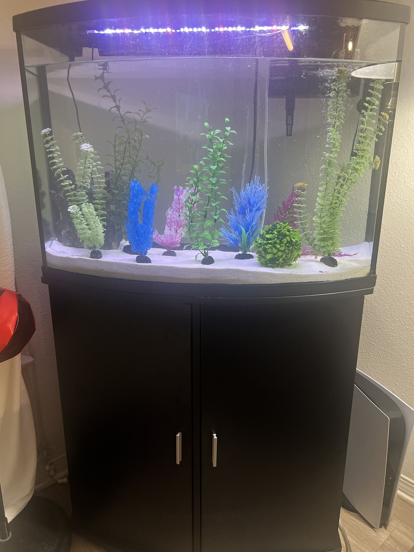 Aquarium With Stand