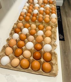 Eggs